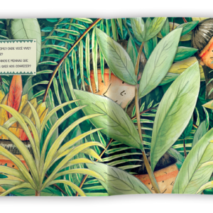 Descobrindo o Xingu - Image 2