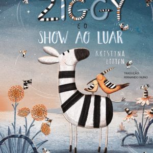 Ziggy e o show ao luar